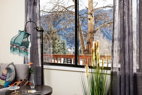 Stunning mountain view from living room window!