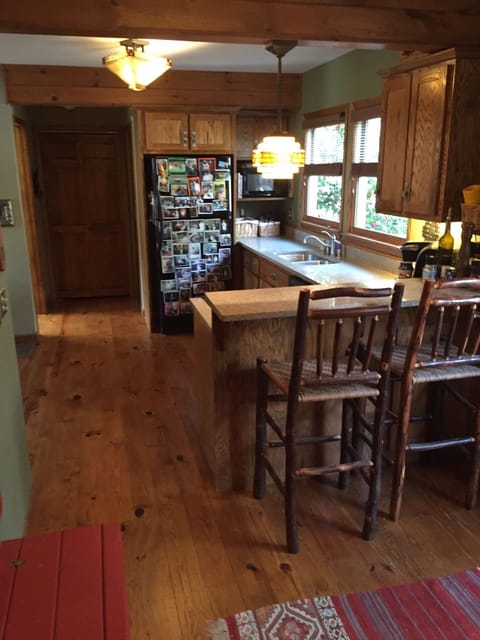 Kitchen and Bar area