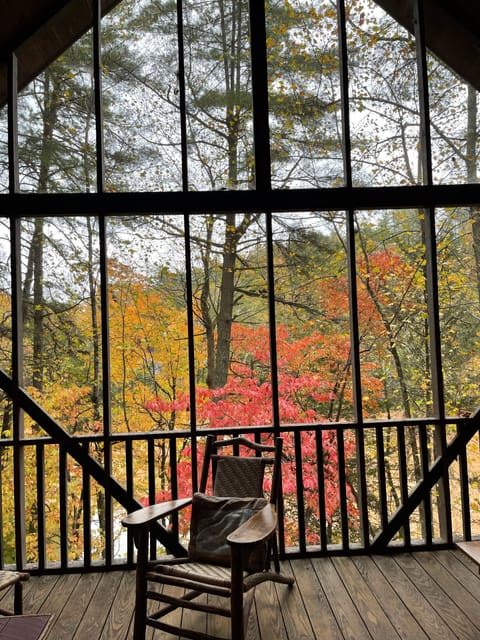 View in October from the porch- you feel like you are in a treehouse!