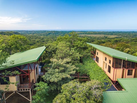 Lush jungle in the green season with beautiful views of the Pacific. 
