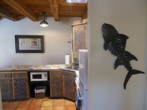 Haitian Fish And Mexican Saltillo Tile Floors