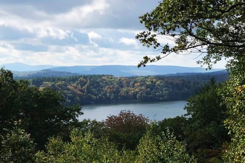 Main level open space (old setup)