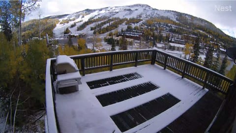 Autumn from the main deck