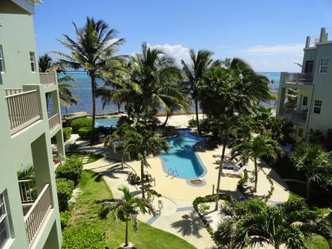 View from the patio