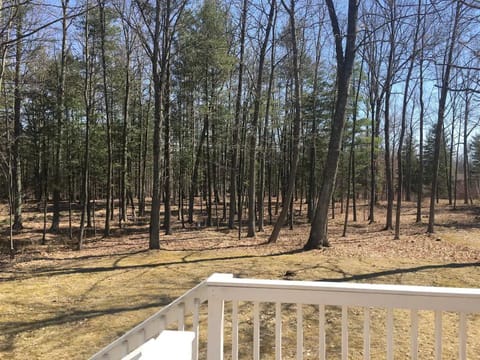 Conveniently Located Cape Cod in TC, Sleeps 6 House in Traverse City