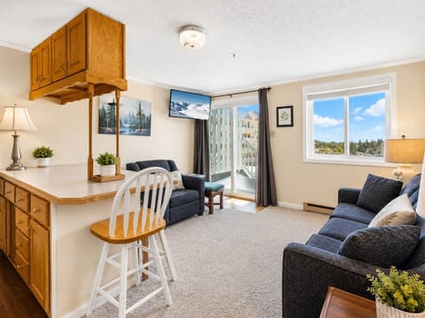 Mountain Lodge 320