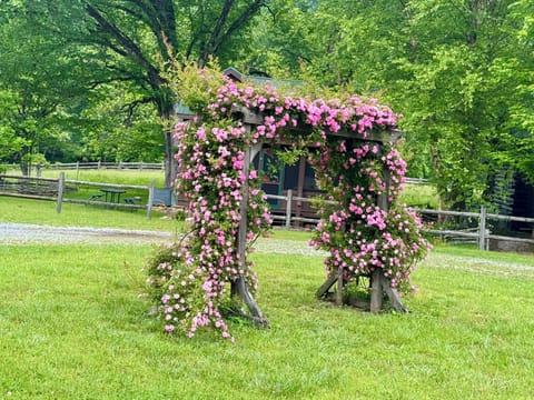 Wonderful place for a photo op right in front of the cabin.
