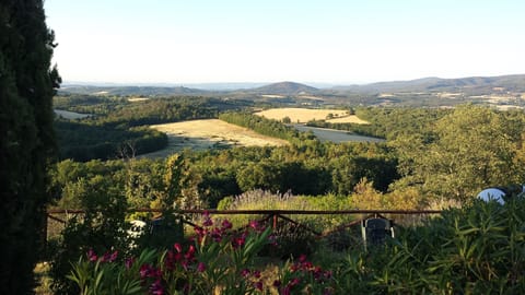 wiew from the garden