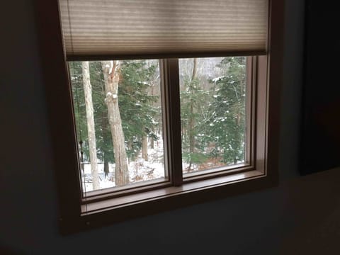 Surrounded by nature.
