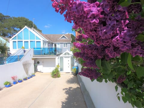 "Alliums" Sandbanks apartment