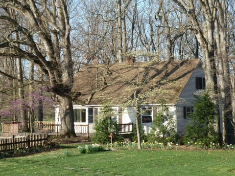Oak Tree Cottage in the spring. 