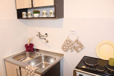 Classic Apartment, Multiple Beds, Sea View | Private kitchen | Fridge, stovetop, electric kettle, cookware/dishes/utensils