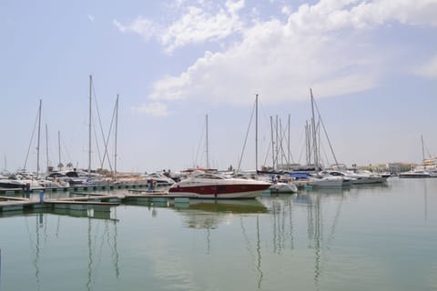 Marina