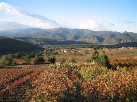 Finestret, the peach and cherry groves