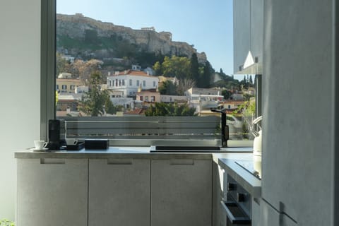 Presidential Apartment | Private kitchen | Fridge, oven, stovetop, coffee/tea maker