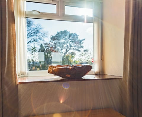 Panoramic Apartment, Mountain View | Iron/ironing board, free WiFi