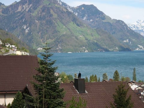 2 1/2 room apartment with comfort and view! Apartment in Nidwalden