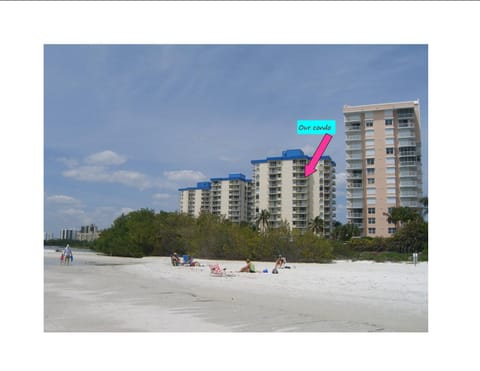 Yes, we face the Gulf! Our condo is steps from a beautiful sugar-sand beach.
