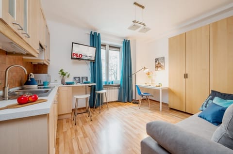 Economy Apartment | Soundproofing, iron/ironing board, free WiFi, bed sheets