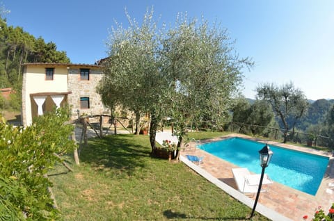 Garden, Outdoor, Pool, Scenic View