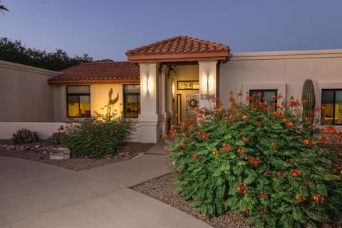 Welcome! to our front door with blooming Mexican bird of paradise