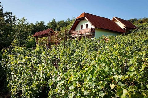external view