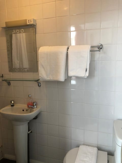 Combined shower/tub, hair dryer