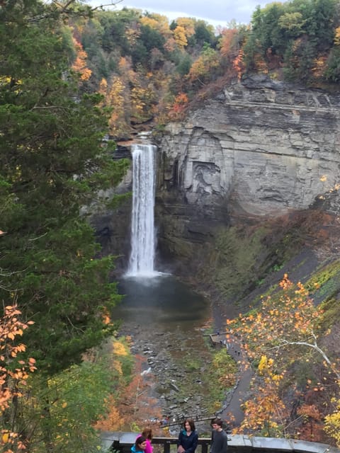 Taughannock Falls State Park is  less than 2 miles away from our home!