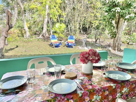 Backyard, large roofed terrace, perfect spot for breakfast, lunch and diner!