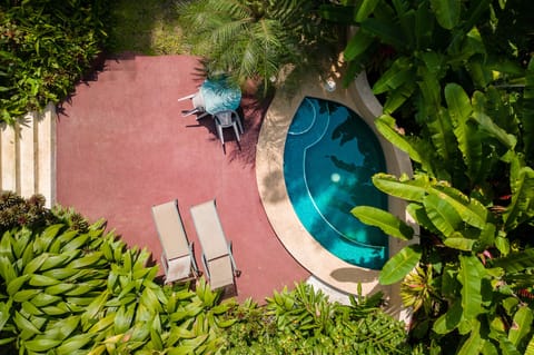 Your beautiful outdoor living space: Plunge pool, terrace, outdoor dining & BBQ.