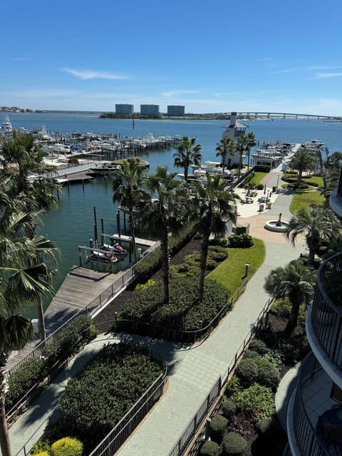 view from balcony
