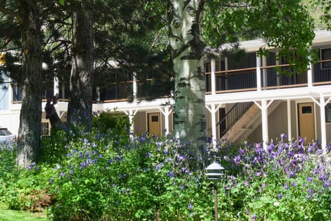 Crystal River Outside Property