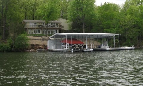 Lake Side Elevation w/ Walls of Windows Nestled in Dense Foliage