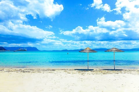 Scenic View