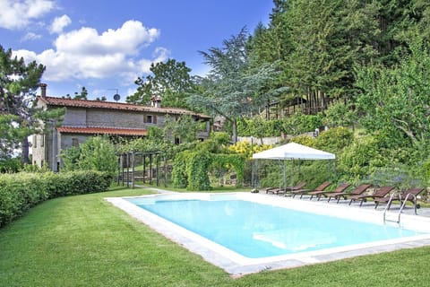 Swimming pool and garden