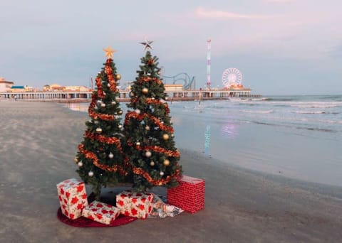 Holiday magic meets the coast—upgrade your BeachBox stay with a festive Christmas tree, available Dec 19–28 while supplies last.