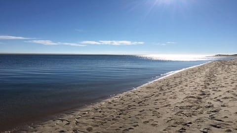 Hardings Beach 