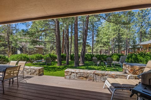 Backyard view
