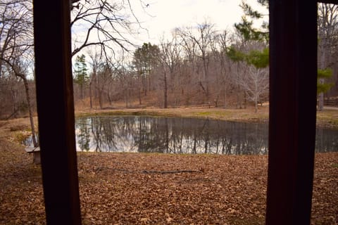 A view of the pond from the screened in porch