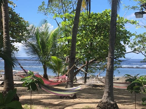 Enjoy Your Pura Vida Experinece really ON the Beach:)