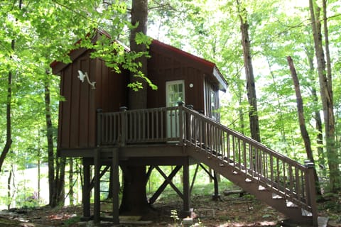 Treehouse a short hike up from the main house. 