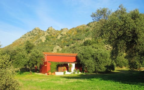 The barn from the meadow
