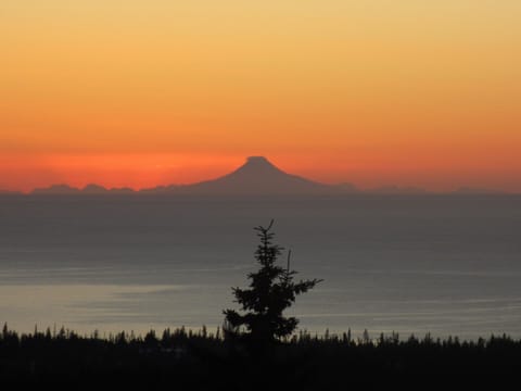 View of Mt. Augustine from house.