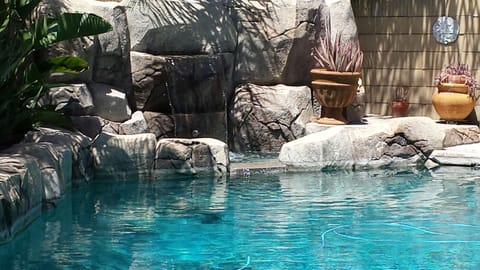 Tropical Rock Pool