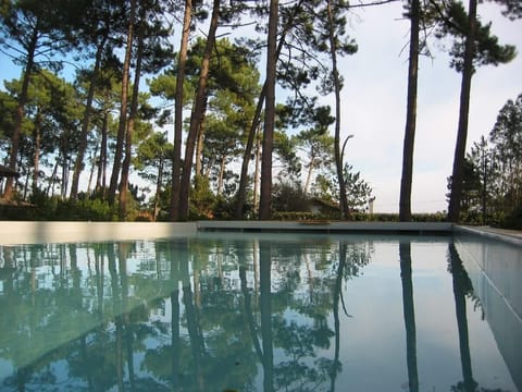 View from the heated swimming pool (5 X 10 m)