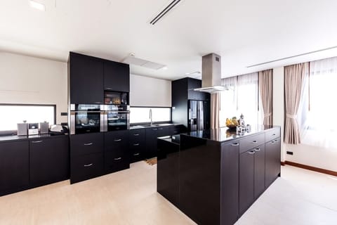 Family Penthouse | Private kitchen | Full-size fridge, microwave, oven, stovetop