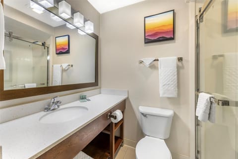 Executive Room, 1 King Bed, Non Smoking, Refrigerator & Microwave (Shower Only) | Bathroom | Combined shower/tub, rainfall showerhead, eco-friendly toiletries