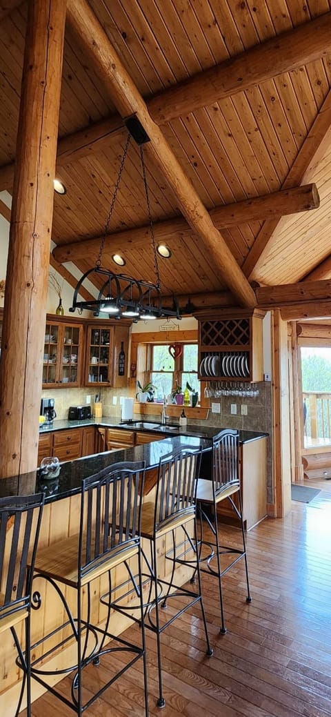 Kitchen, BBQ grill is outside next to the kitchen