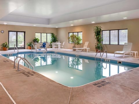 Indoor pool, sun loungers