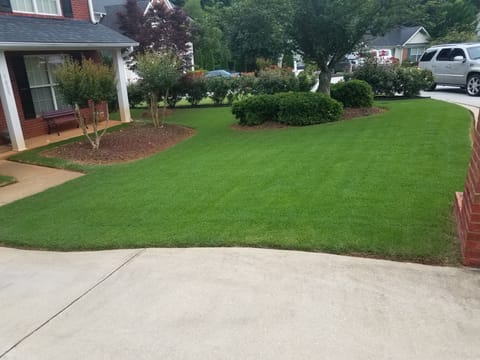 Front lawn